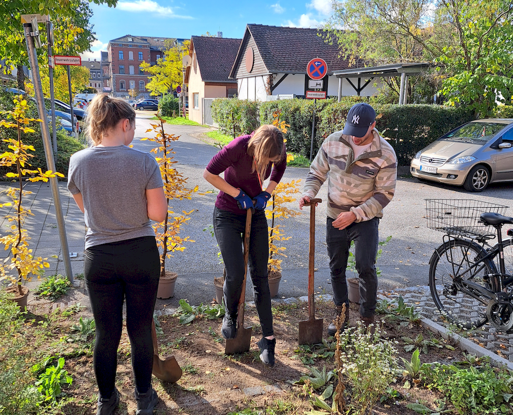drei Menschen graben in der Erde