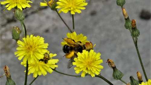 254366_avatar_4_332115_w500px.jpg
